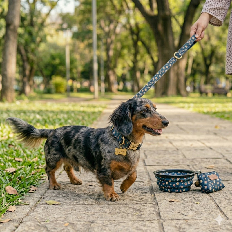 Correas y Paseo