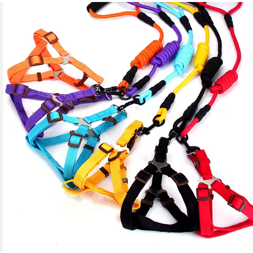 Pechera con Nudo de Colores para Perros