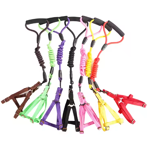 Pechera con Nudo de Colores para Perros
