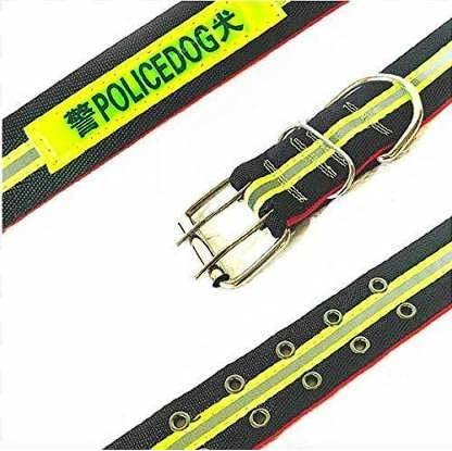 Collar Tipo Police de Alta Resistencia para Perros