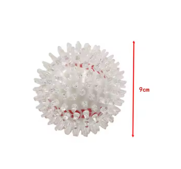 Pelota Transparente para Perros