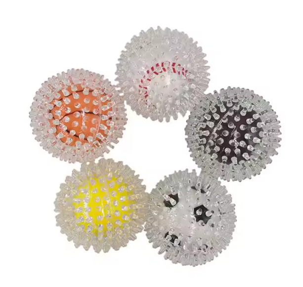 Pelota Transparente para Perros