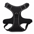 Arnés XL Localizador AirTag Negro