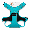 Arnés XL Localizador AirTag Turquesa