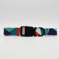 Collar Tropical Multicolor Fresh