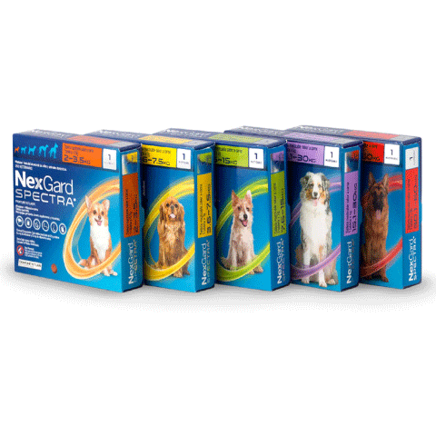 NexGard Spectra 15.1–30 kg